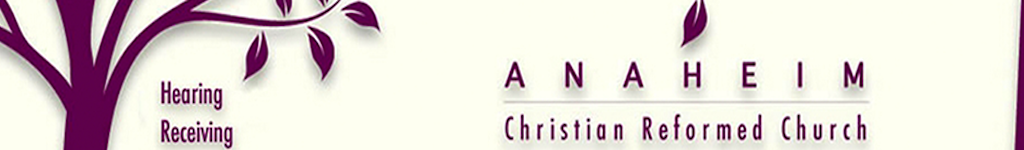 Store Banner Image